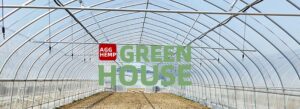 green house plastics 