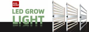 LED grow light