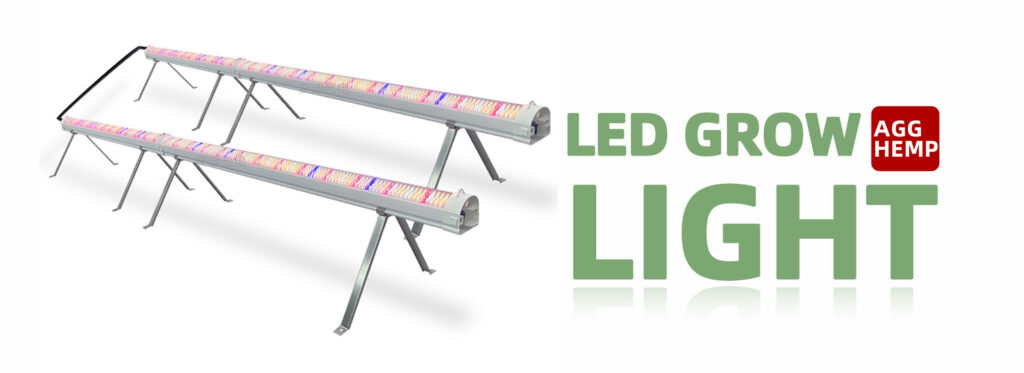 LED grow light