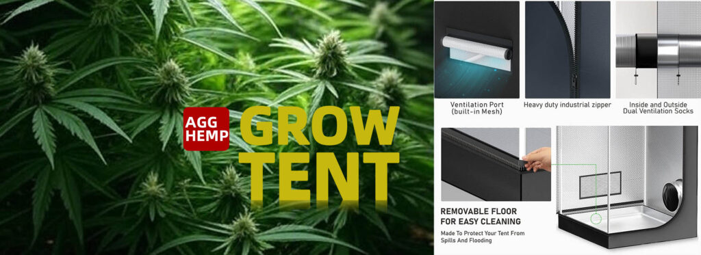 cannabis grow tent