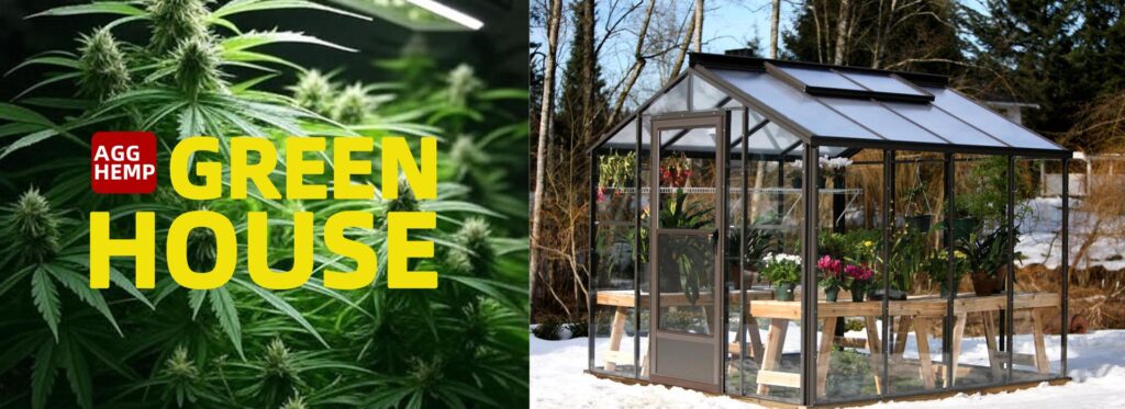 green house plastics