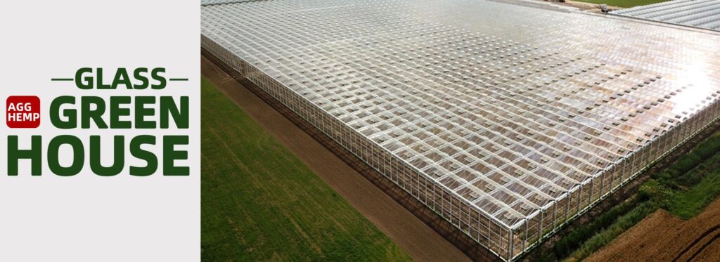 customized glass greenhouse