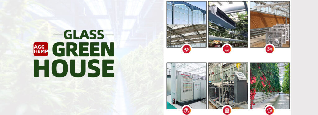 customized glass greenhouse