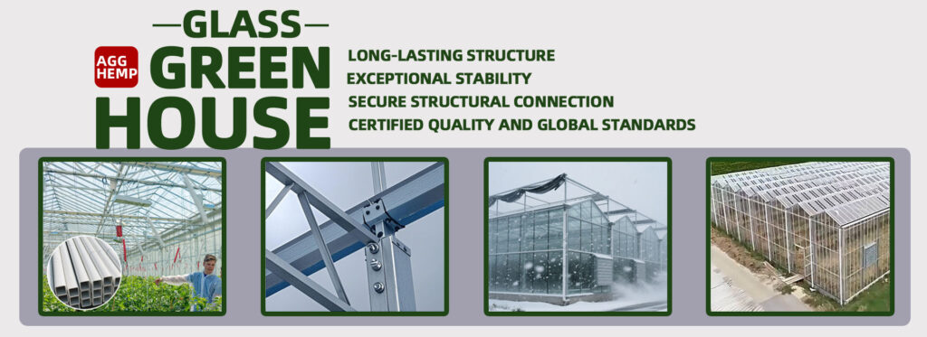 customized glass greenhouse