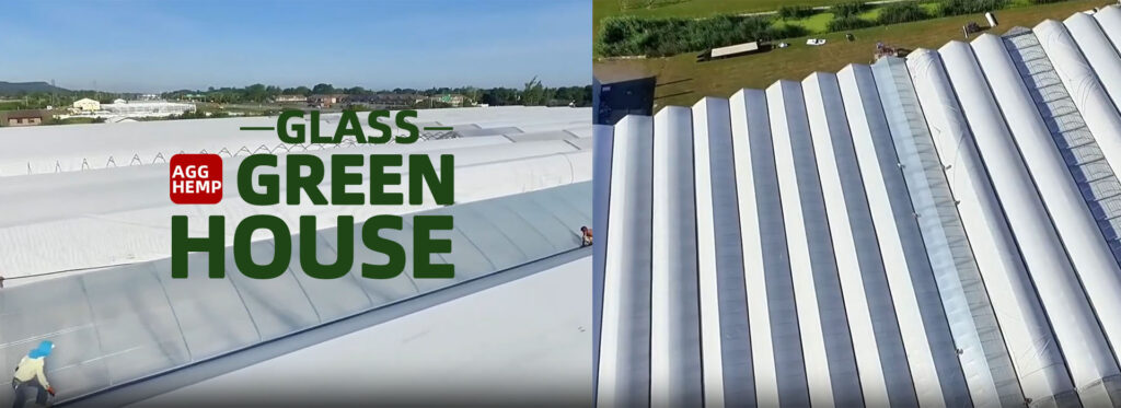 customized glass greenhouse