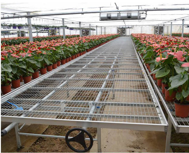 customized mobile greenhouse seedbeds