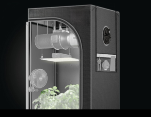 grow tent